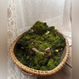 🚫SOLD🚫 Handmade Moss Woodland Centerpiece – Cottagecore Fairy Garden Art Decor